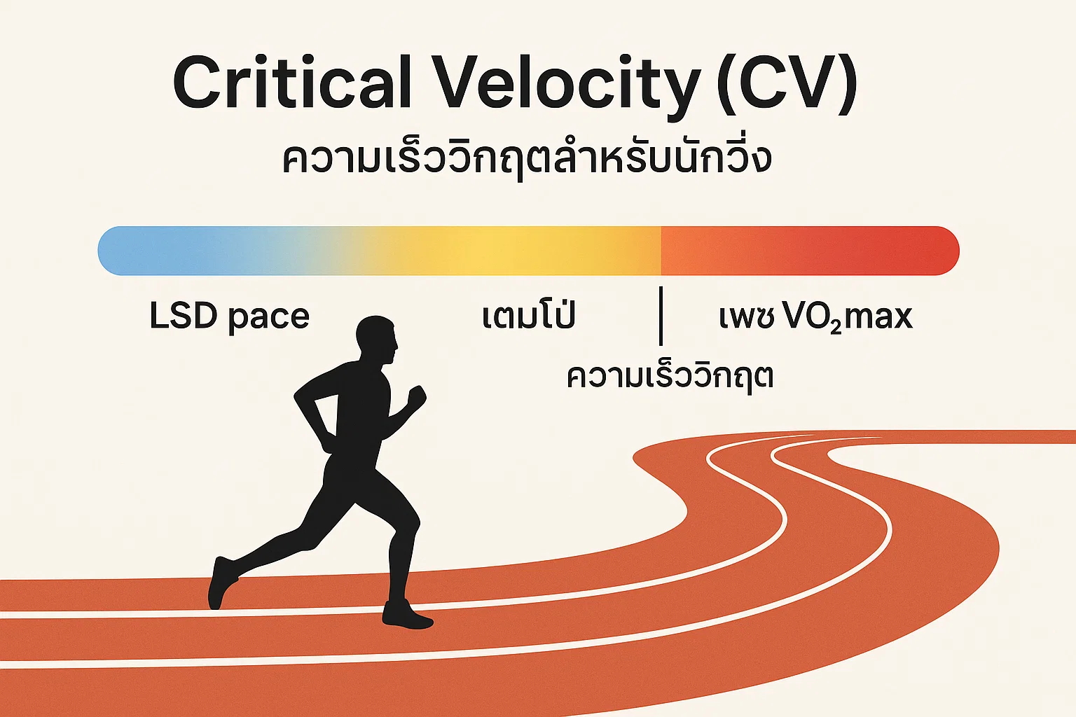 Periodization of Running Training การจัดตารางซ้อมที่นำไปสู่ความเป็นเลิศ ...