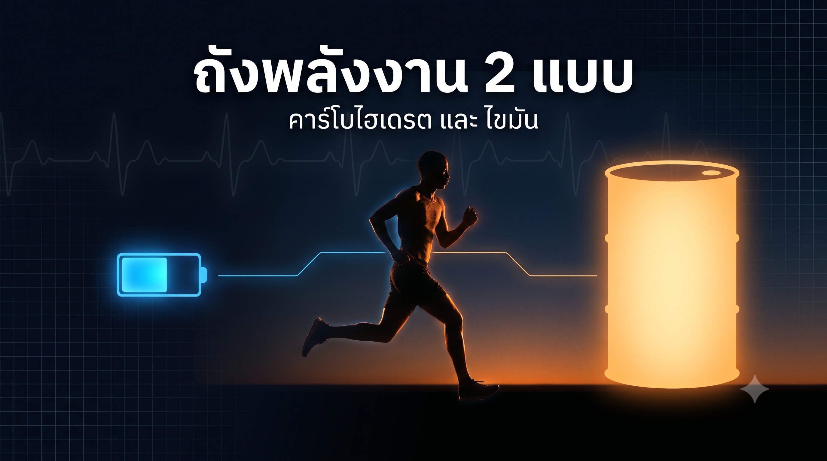 ถังพลังงาน 2 แบบ คาร์โบไฮเดรตและไขมัน