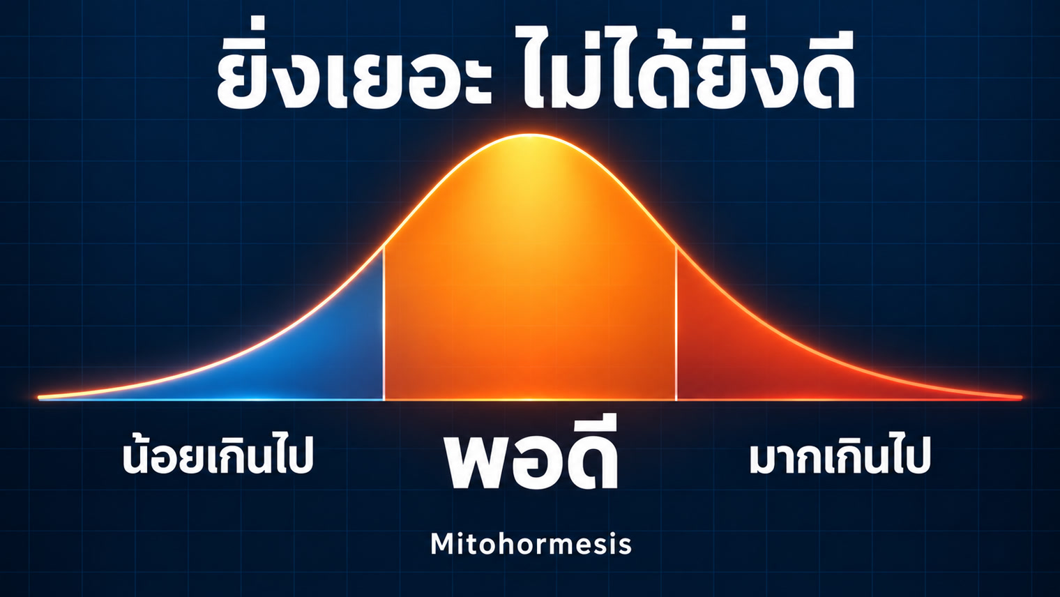 Mitohormesis - กราฟระฆังคว่ำสามช่วง น้อยเกินไป พอดี และมากเกินไป